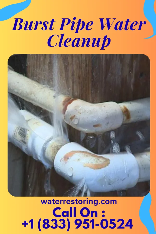Burst Pipe Water Cleanup in Rivanna, VA