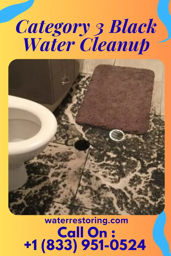 Category 3 Black Water Cleanup in Rivanna, VA
