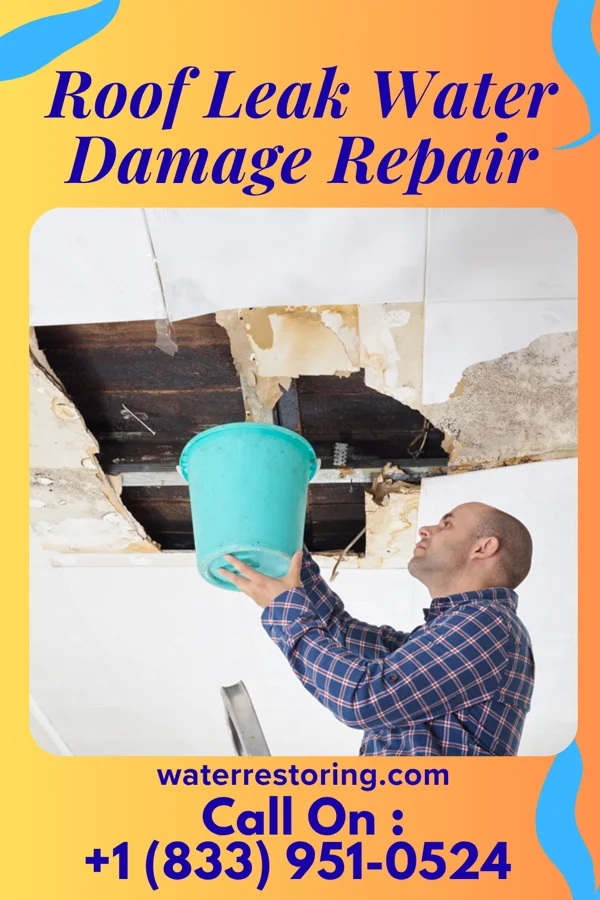 Roof Leak Water Damage Repair in Rivanna, VA