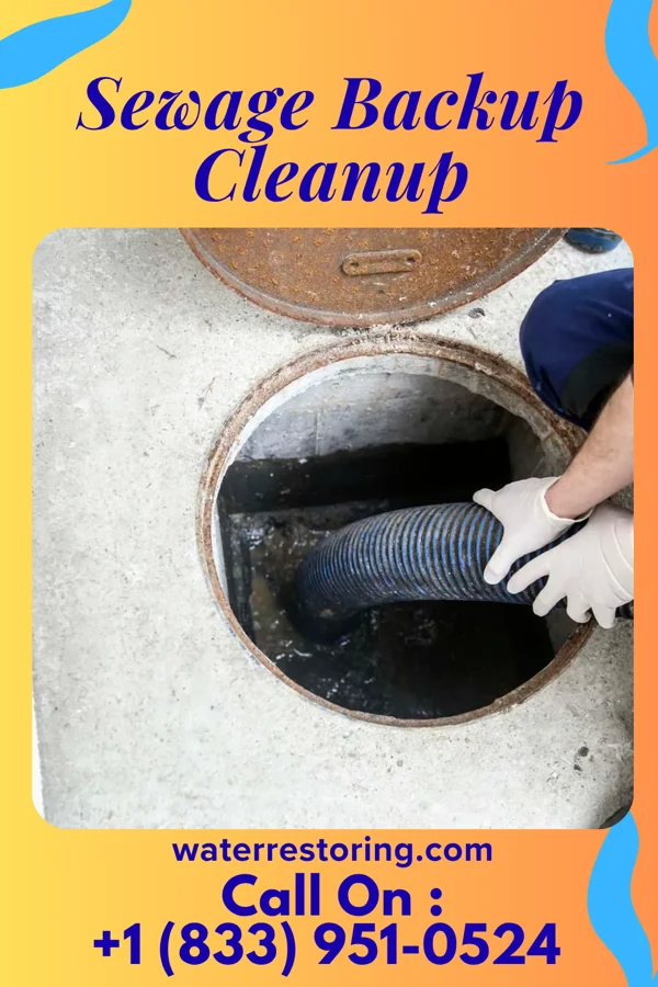 Sewage Backup Cleanup in Rivanna, VA
