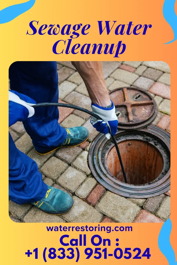 Sewage Water Cleanup in Rivanna, VA