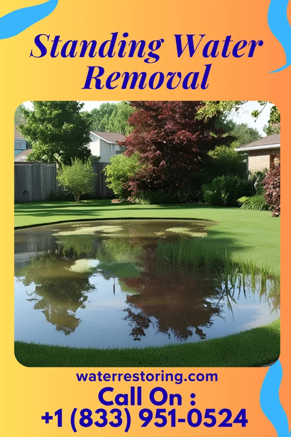 Standing Water Removal in Rivanna, VA